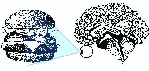 certain part of your brain is affected