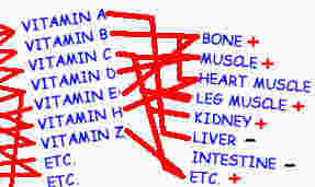 most neurons are positive