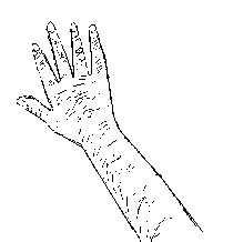 Old man's hand