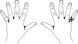 handsdrawing.png (8160 bytes)